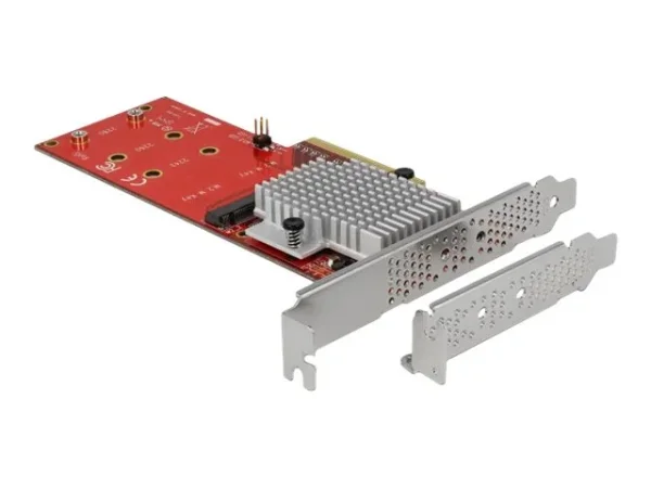 DELOCK PCI Express x8 Karte >2xM.2 Key M