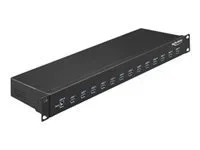 DELOCK 48,26cm Hub 13 x USB 3.1 G1 Typ-A