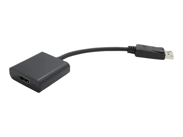 VALUE DisplayPort-HDMI Adapter DP