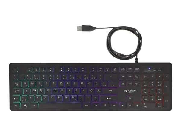 DELOCK USB Tastatur kabelgebunden 1,5m