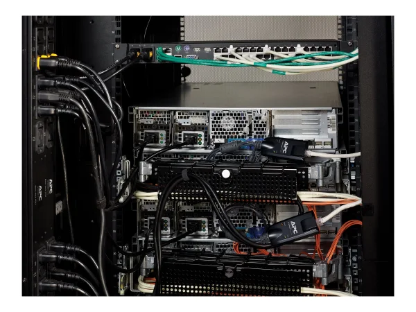 APC KVM 2G - Server Module - USB
