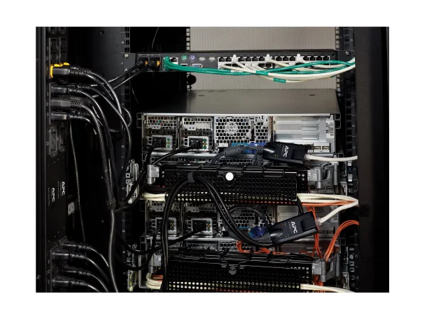 APC KVM 2G - Server Module - Serial