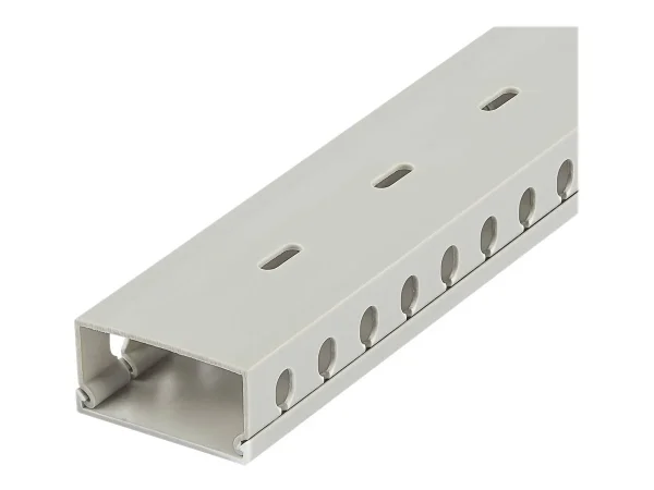 STARTECH 2m Verdrahtungskanal - 50x25mm