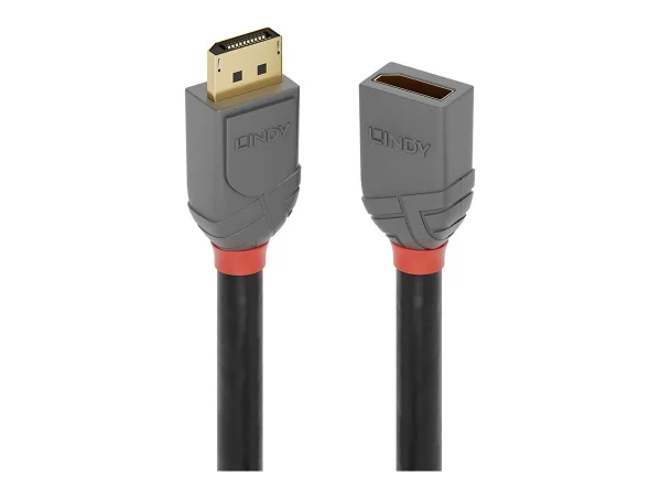 LINDY 1m DP Verlängerung Anthra Line