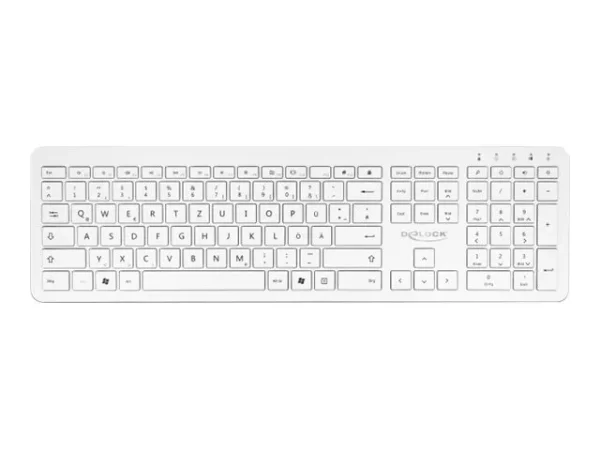 DELOCK USB Tastatur 2,4GHz kabellos