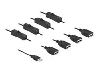 DELOCK Kabel USB Typ-A Stecker zu 4xUSB