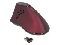 DELOCK Ergonomische vertikal Maus