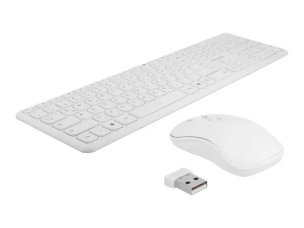 DELOCK USB Tastatur und Maus Set weiss