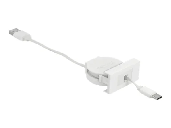 DELOCK Easy 45 Modul USB2.0 Ausrollkabel