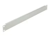 DELOCK 48,26cm Blindabdeckung 1HE grau
