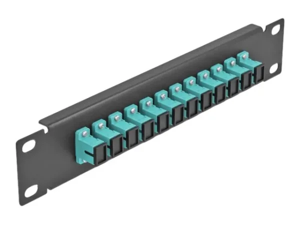DELOCK 30,5cm LWL Patchpanel 12P SC aqua