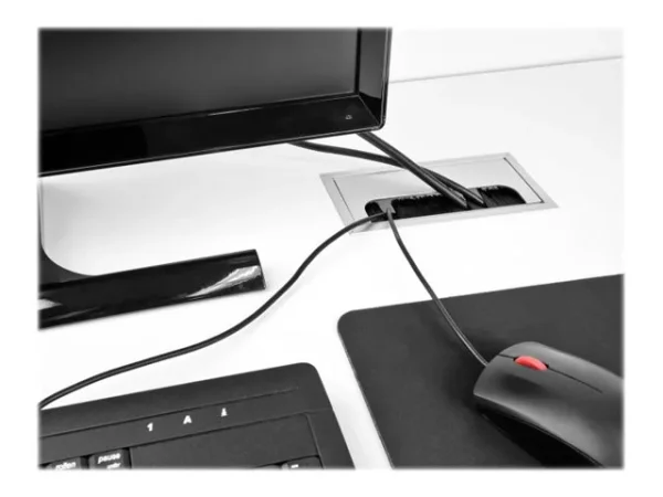 DELOCK Tischeinbau Bürste 300x120x28mm