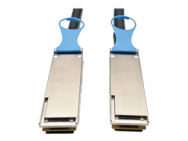 EATON TRIPPLITE QSFP28 to QSFP28