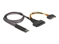 DELOCK M.2 Key M zu U.2 SFF-8639 NVMe