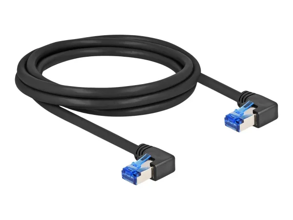 DELOCK RJ45 Netzwerkk Cat.6A S/FTP 2m