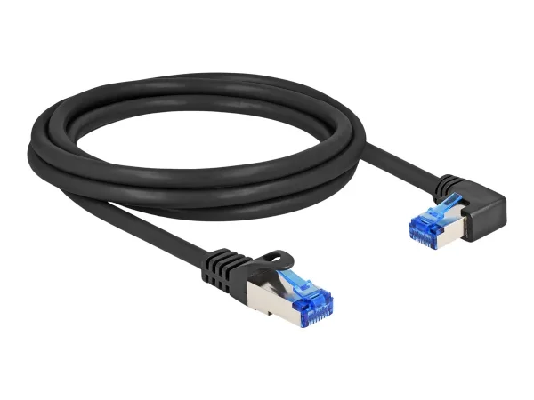 DELOCK RJ45 Netzwerkk Cat.6A S/FTP 2m