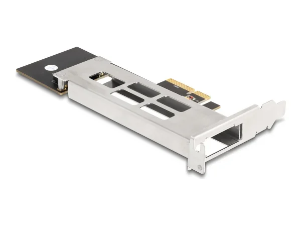 DELOCK Wechselrahmen PCI Express 1 x M.2
