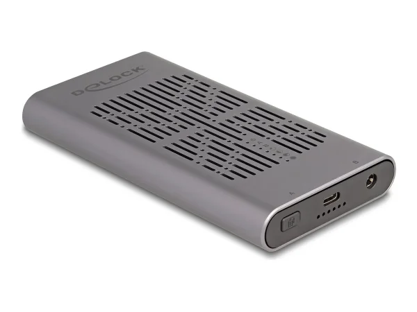 DELOCK Externes USB 20 Gbps Geh 2 x M.2