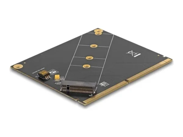 DELOCK Konverter MXM zu M.2 NVMe Key M