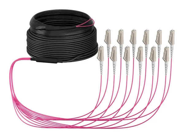 EFB Trunkkabel U-DQ ZN BH 12G 30m