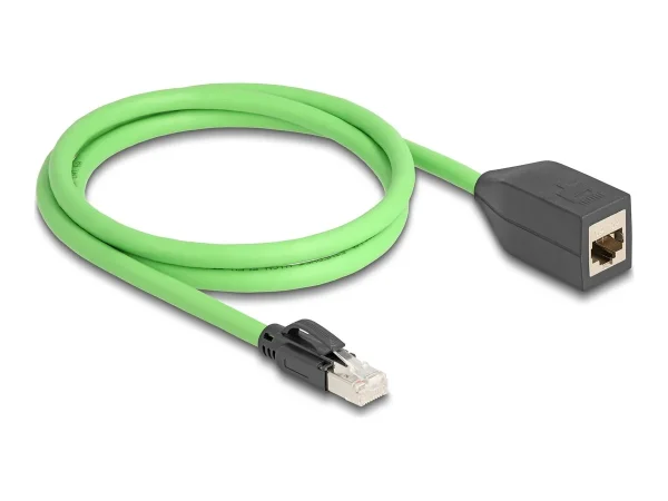DELOCK RJ45 Verlängerungskabel Cat.6A 1m