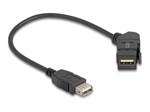 DELOCK USB 2.0 Typ-A Einbaubuchse 45 ge