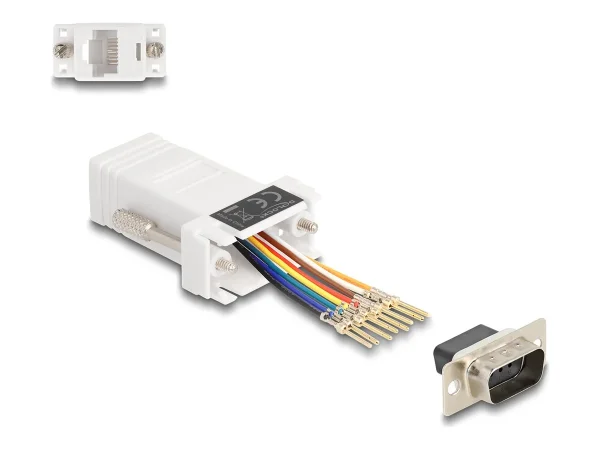 DELOCK D-Sub 9 Pin Stecker zu RJ45 Buchs