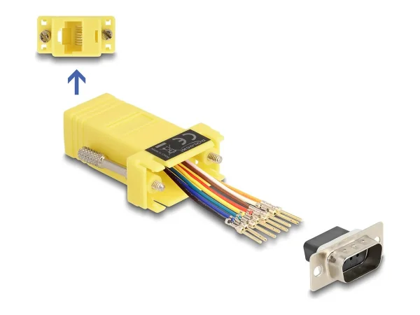 DELOCK D-Sub 9 Pin Stecker zu RJ45 Buchs