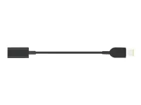 LENOVO USB-C to Slim-Tip cable adapter