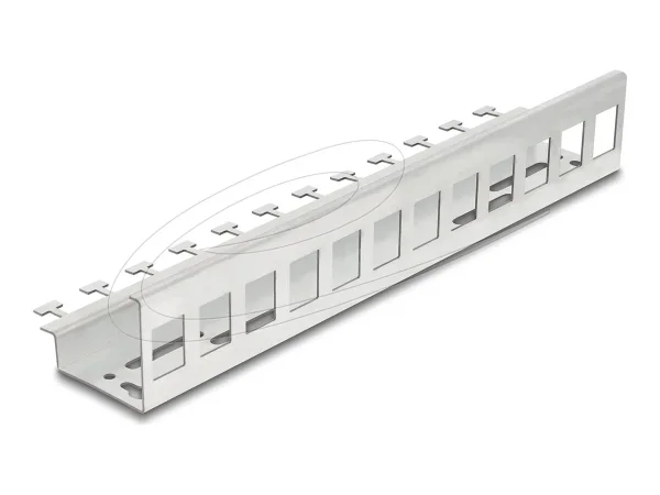 DELOCK Keystone Metall Halterung 12 Port