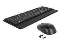 DELOCK USB Tastatur und Maus Set 2,4GHz