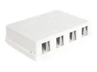 DELOCK Keystone Leergehäuse 4 Port