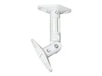 NEOMOUNTS SPEAKER-W100 Speaker Mount