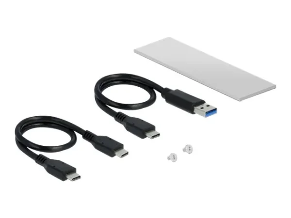 DELOCK Externes Gehäuse für M.2 NVMe