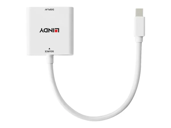 LINDY Mini DisplayPort to DVI Converter