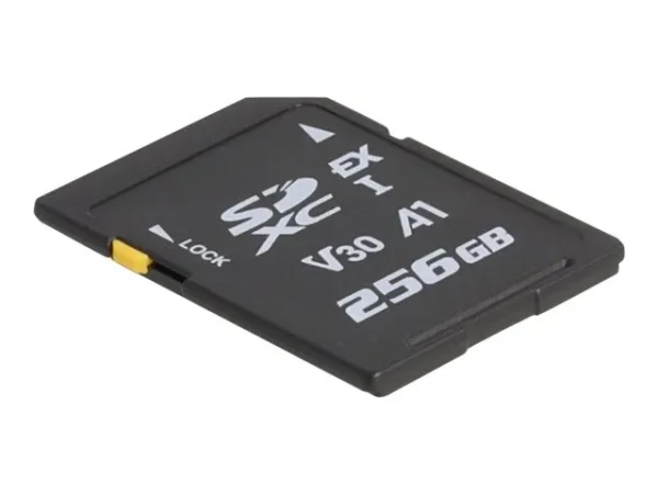 DELOCK SD Express Speicherkarte 256GB