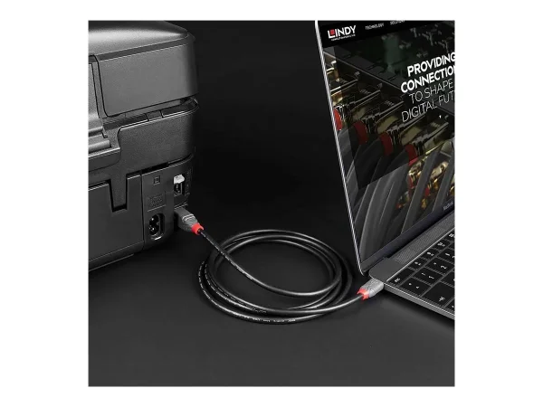 LINDY 2m USB 2.0 Type C an B Kabel Anthr