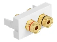 DELOCK Easy 45 Modul 2 x Polklemme