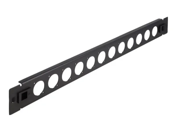 DELOCK 48,26cm D-Typ Patchpanel 12 Port