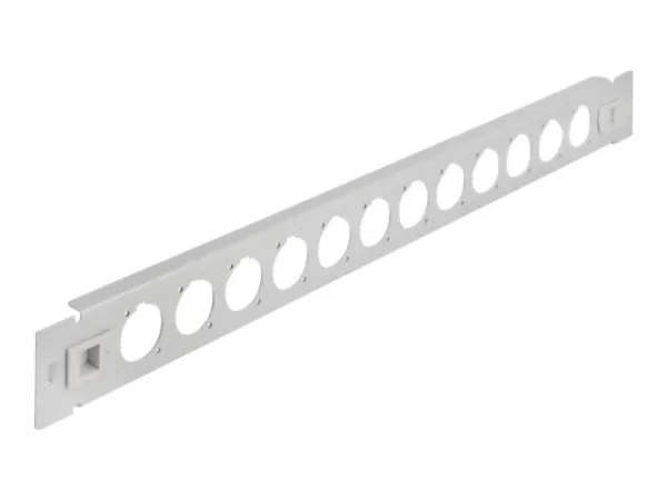 DELOCK 48,26cm D-Typ Patchpanel 12P grau
