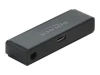 DELOCK USB Type-C 3.2 Gen 2 zu SATA Konv