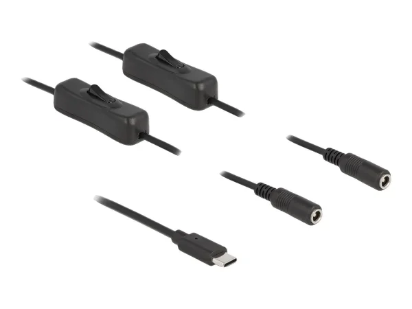 DELOCK Kabel USB Type-C zu 2 x DC 1 m