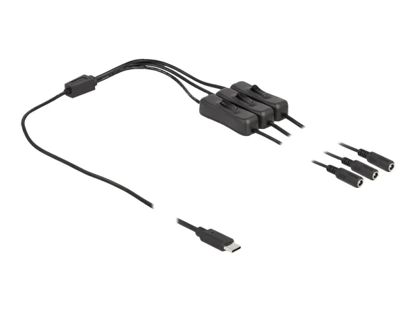 DELOCK Kabel USB Type-C zu 3 x DC 1 m