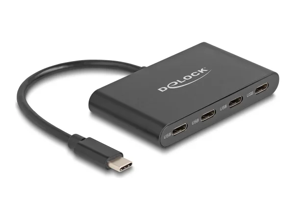 DELOCK USB 3.2 Gen 2 USB Type-C Hub