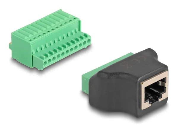 DELOCK RJ50 Buchse zu Terminalblock
