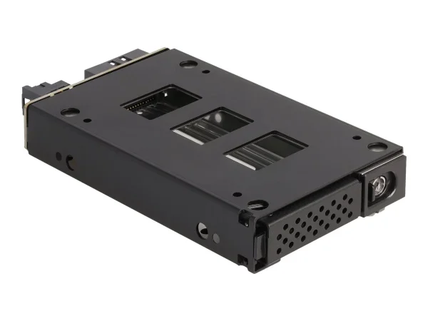 DELOCK Slim Bay Wechselrahmen 1x 6,35cm