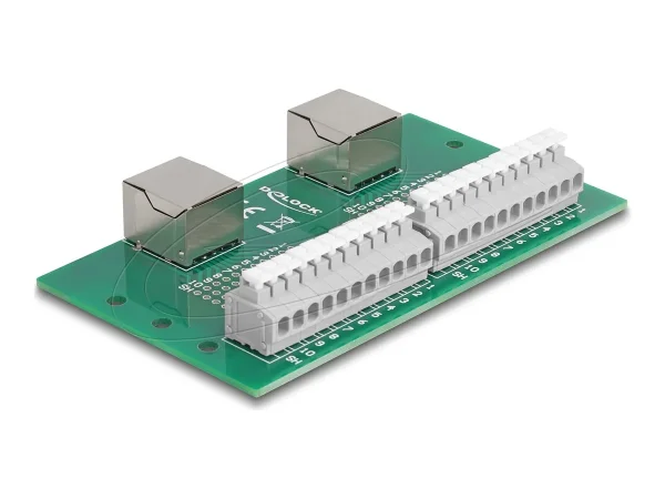 DELOCK RJ50 2x Buchse zu 2xTerminalblock