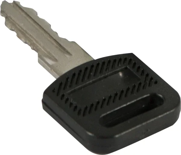 ALLNET 19" Wandgehäuse, zbh. Ersatzschlüssel, für SMB/SMC/SMM-Serie, *1Paar*