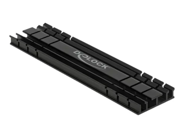 DELOCK Kühlkörper fl 100mm für M.2 Modul
