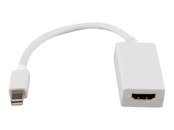 ROLINE Mini DisplayPort-HDMI Adapter